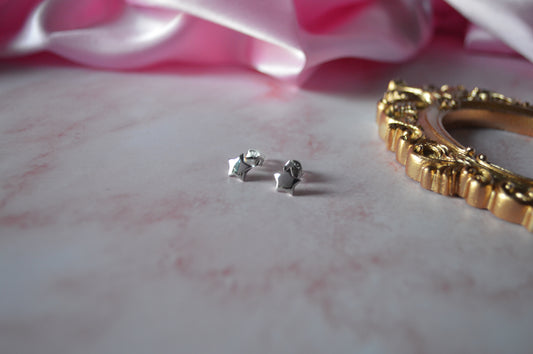 silver 925 Star Earrings for Women